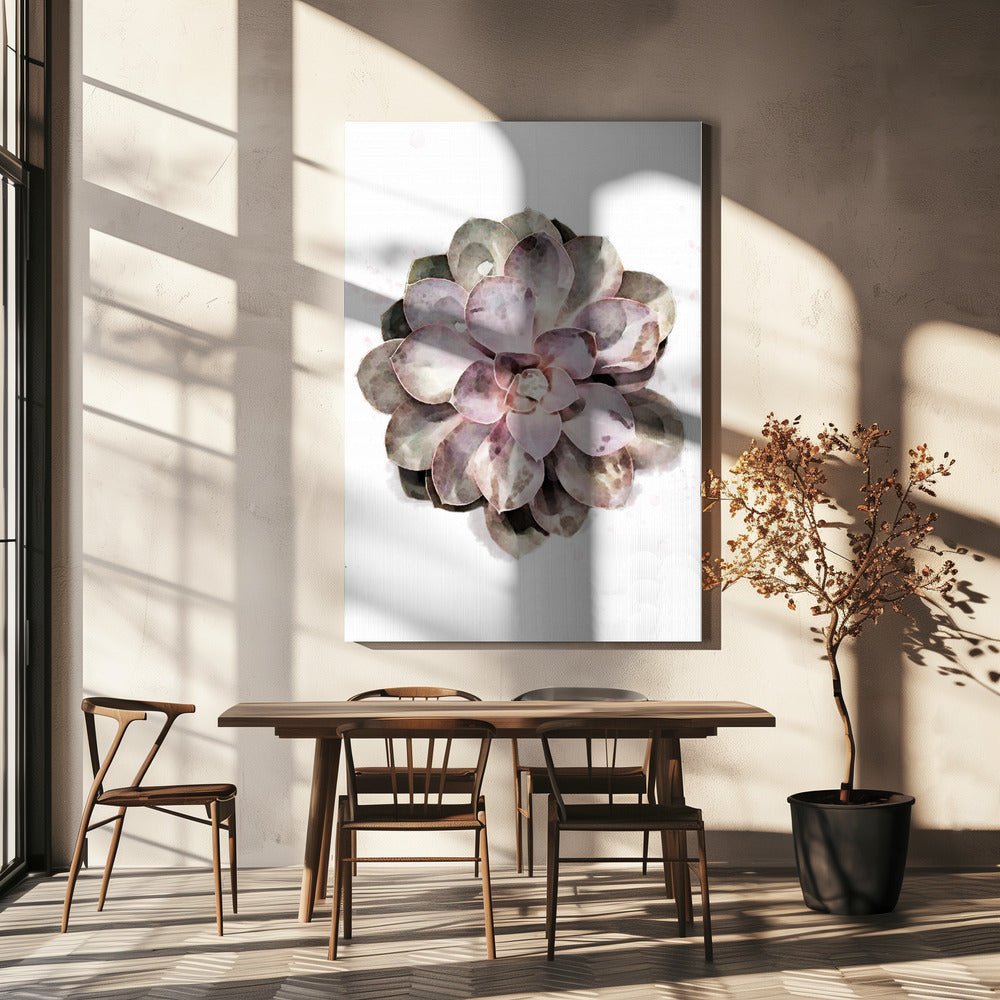 Succulent 01 | Canvas