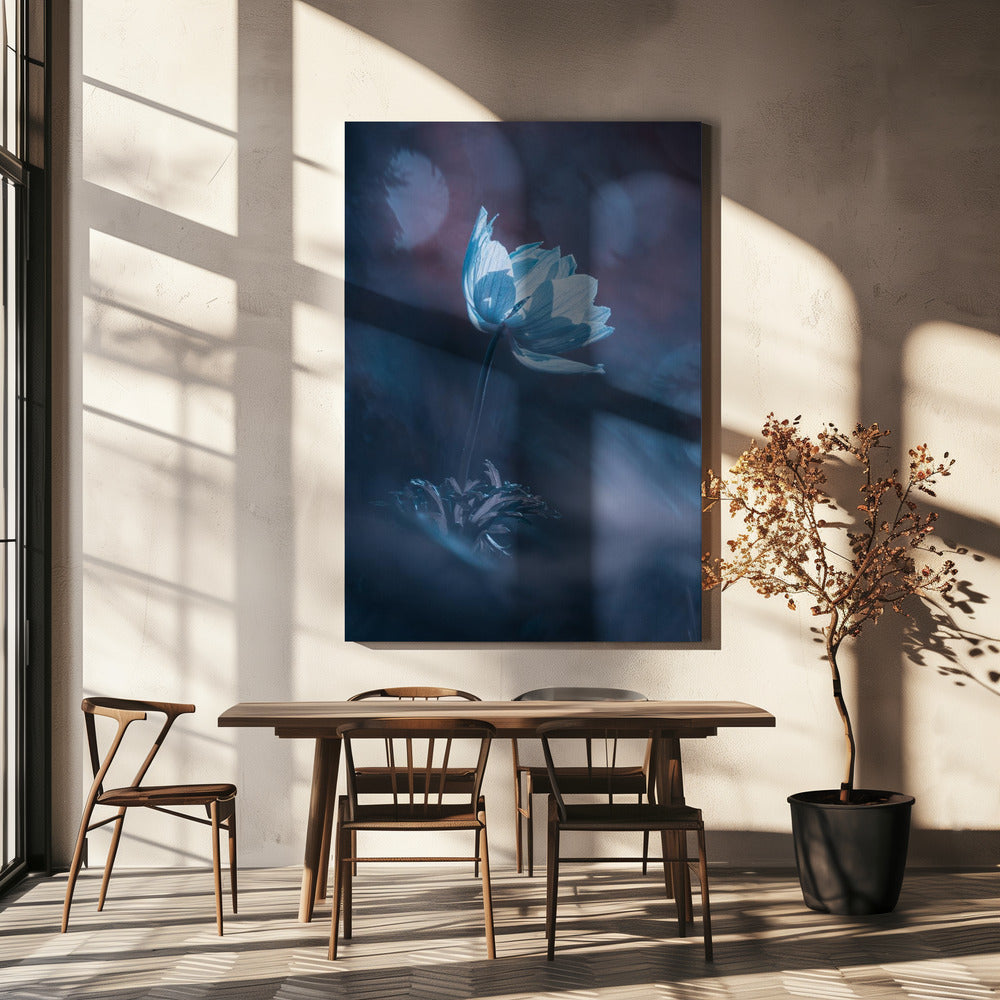 Droom verder | Canvas