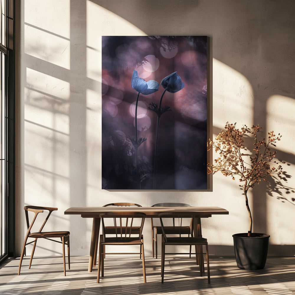 Waarom voelt mijn hart zo slecht? | Canvas