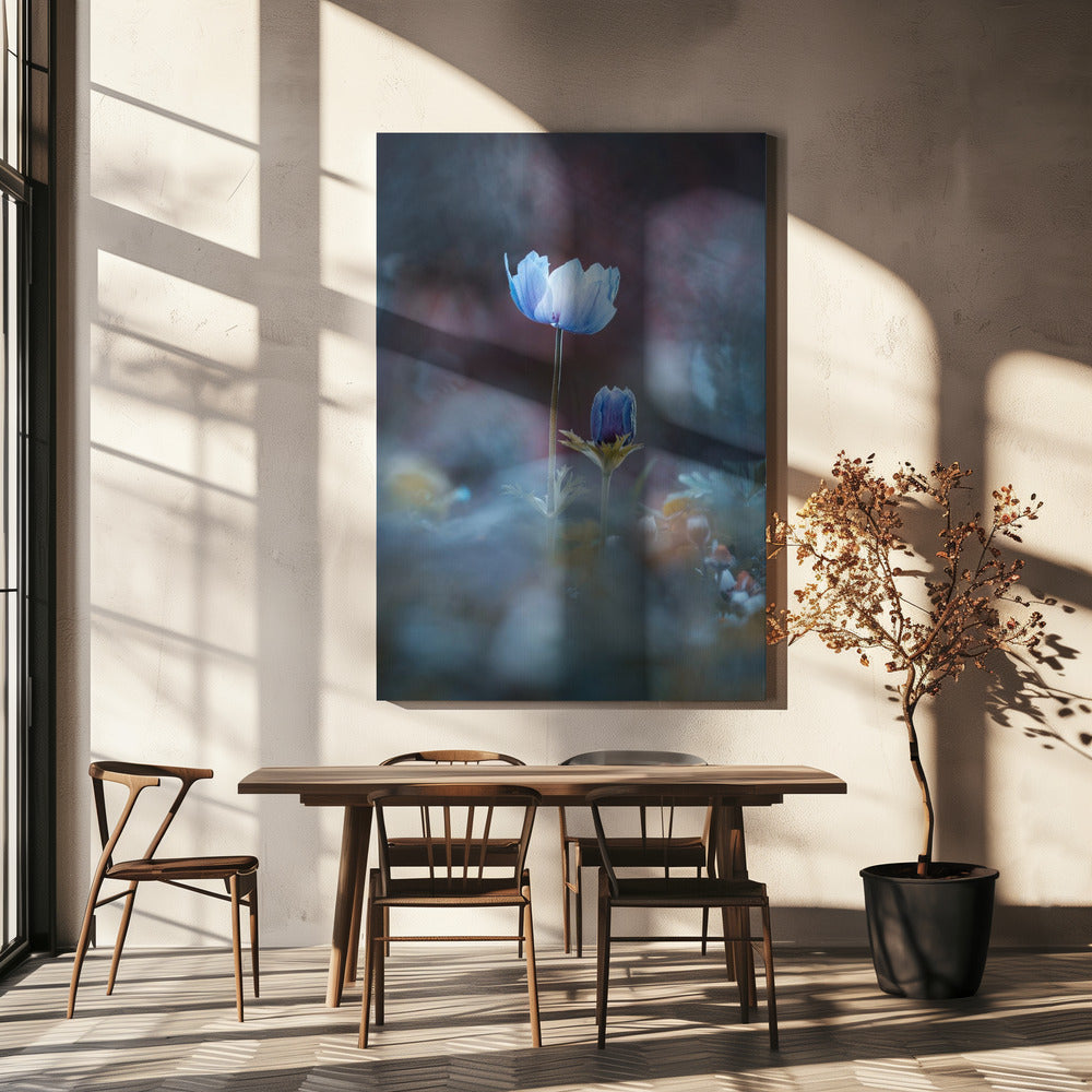 Opgroeien | Canvas