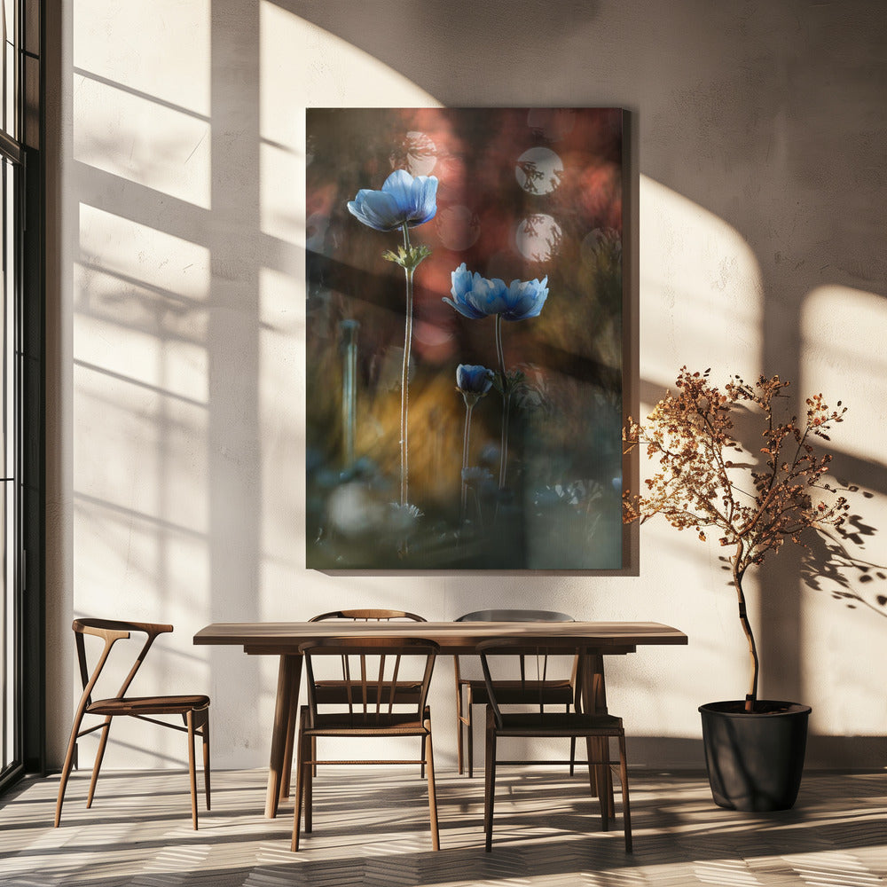 Een explosie van kleuren in een grijze en sombere wereld | Canvas