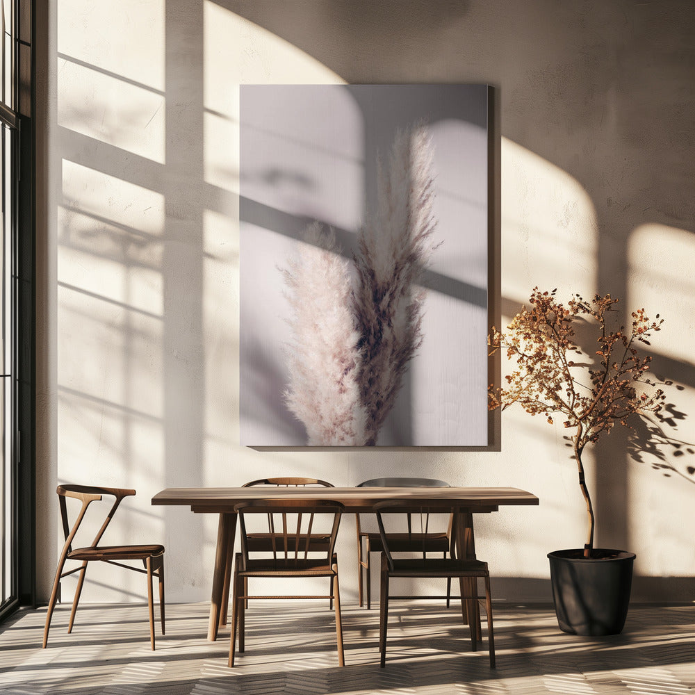 Pampasgras | Canvas