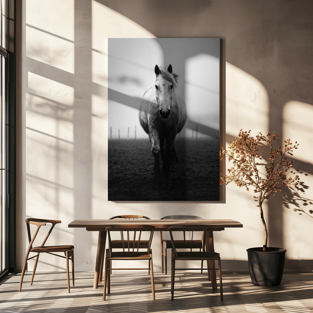 Confidence | Canvas