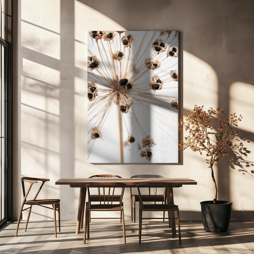 Gedroogd_007 | Canvas
