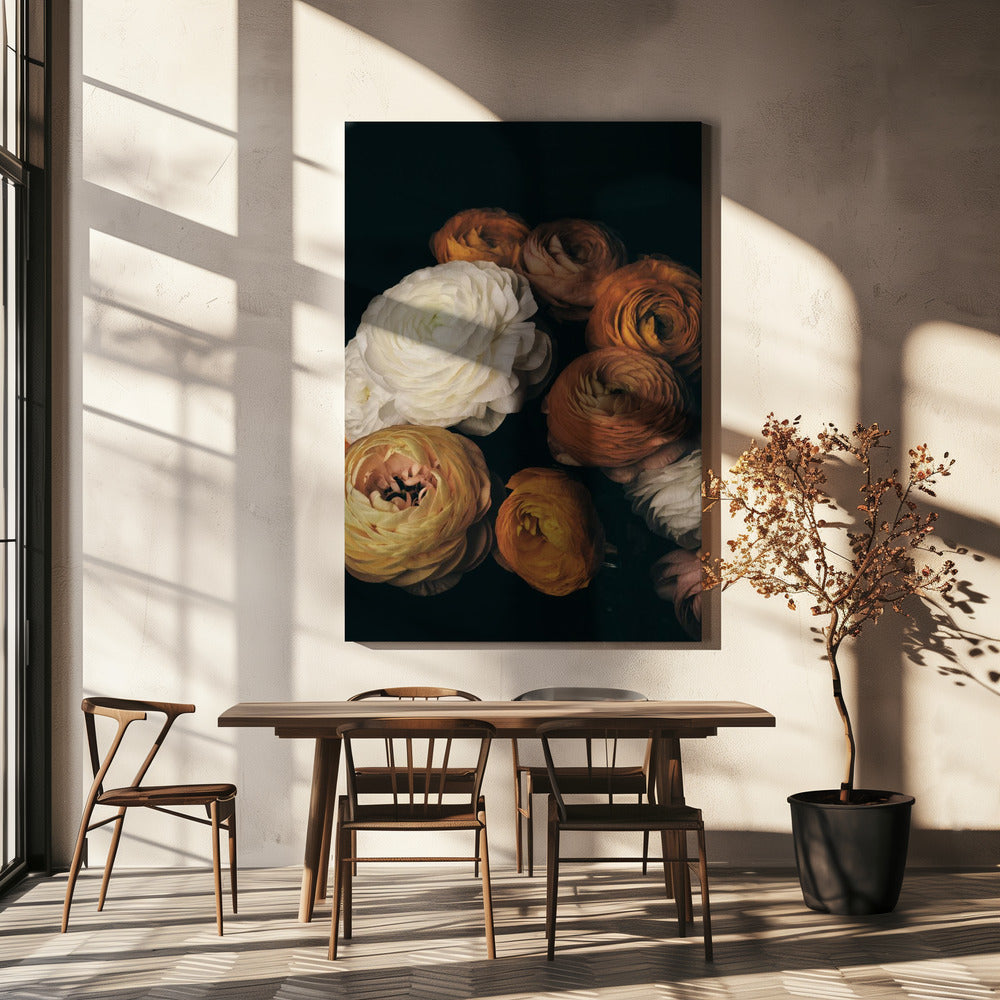 Ranonkel | Canvas
