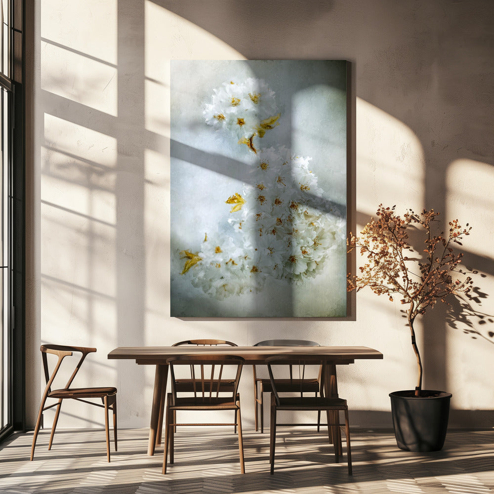 Kersenbloesem | Canvas