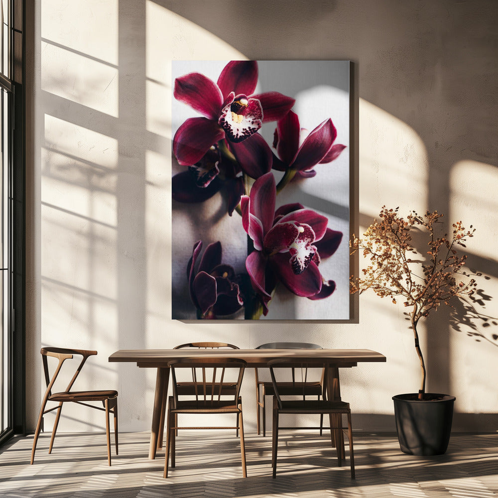 Orchideeën Elegantie | Canvas
