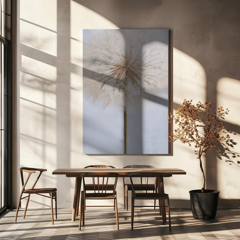 Delicate paardenbloem | Canvas