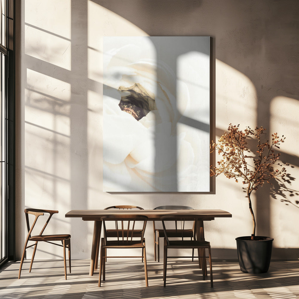 Witte Bloem 01 | Canvas