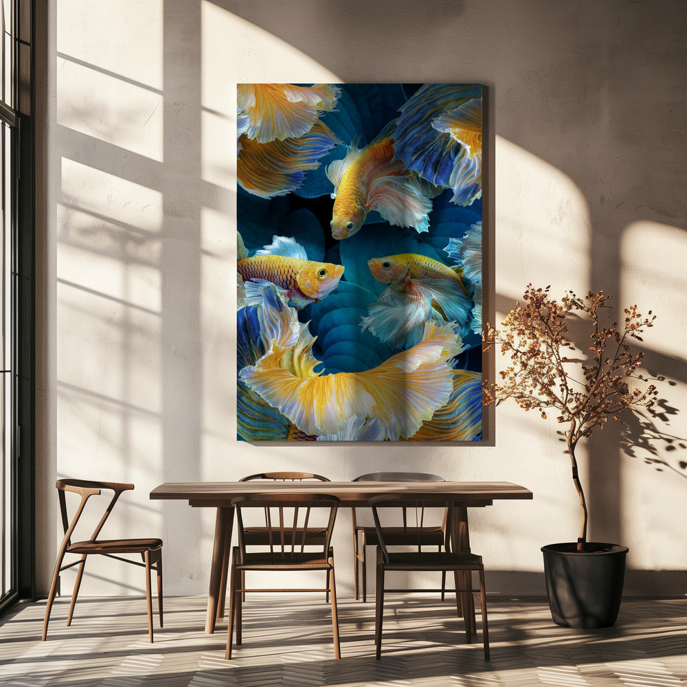 KleurVis | Canvas