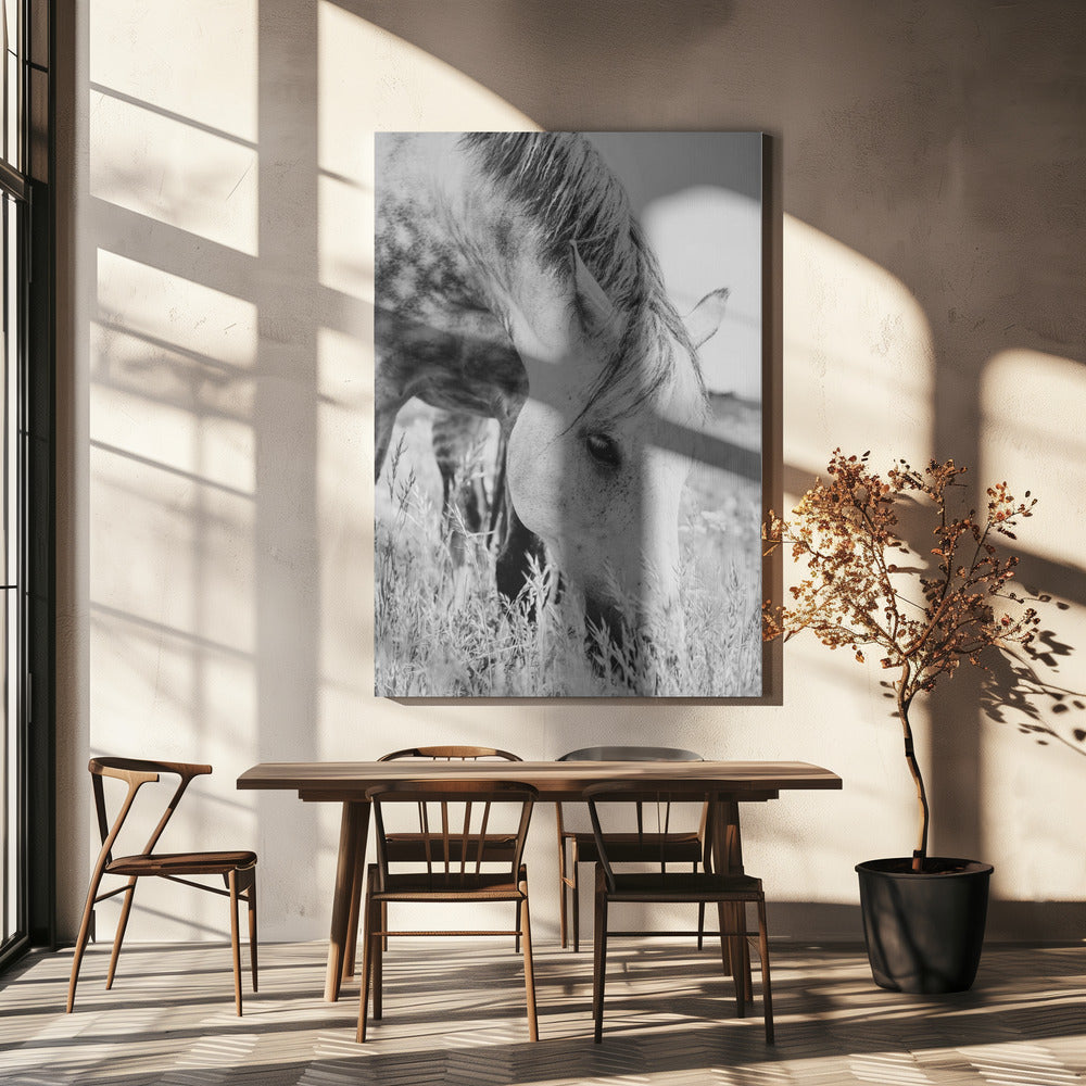 hengst | Canvas