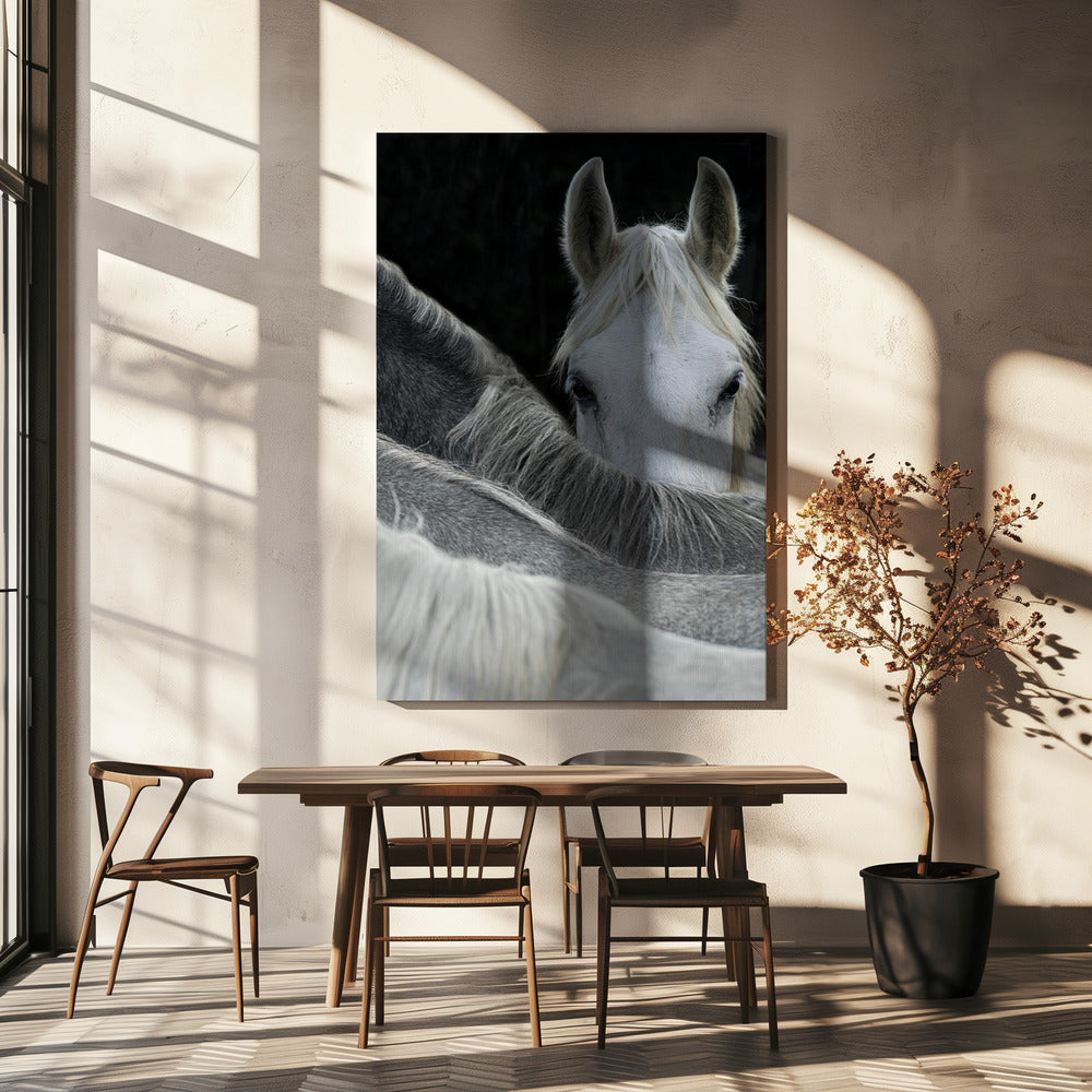 Kijk | Canvas