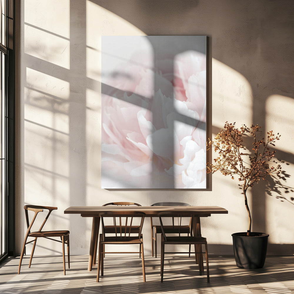 Pioenroos 05 | Canvas