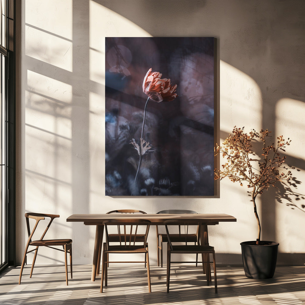 Elegantie | Canvas