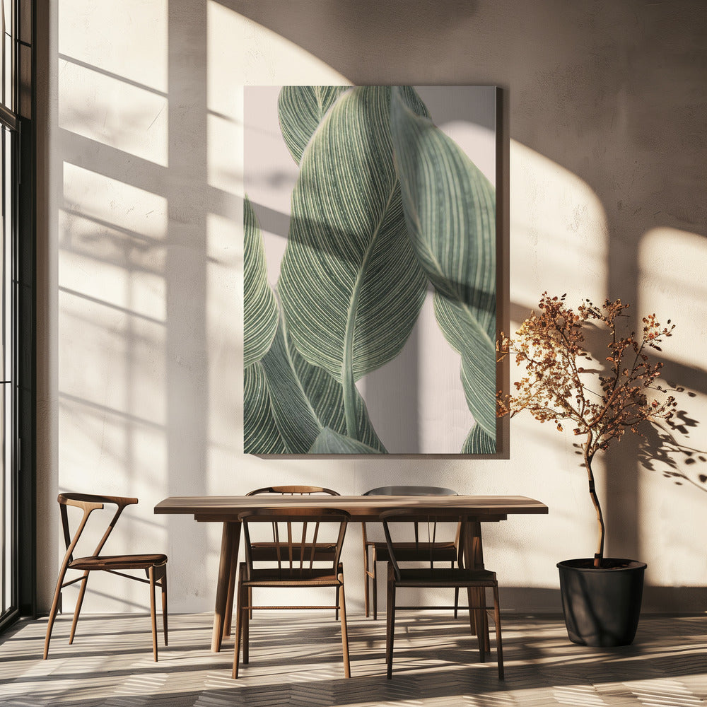 Calla blad | Canvas
