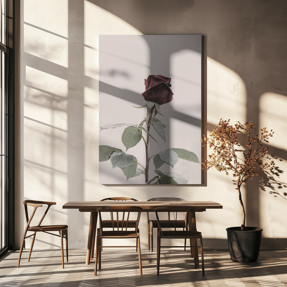 Roos | Canvas