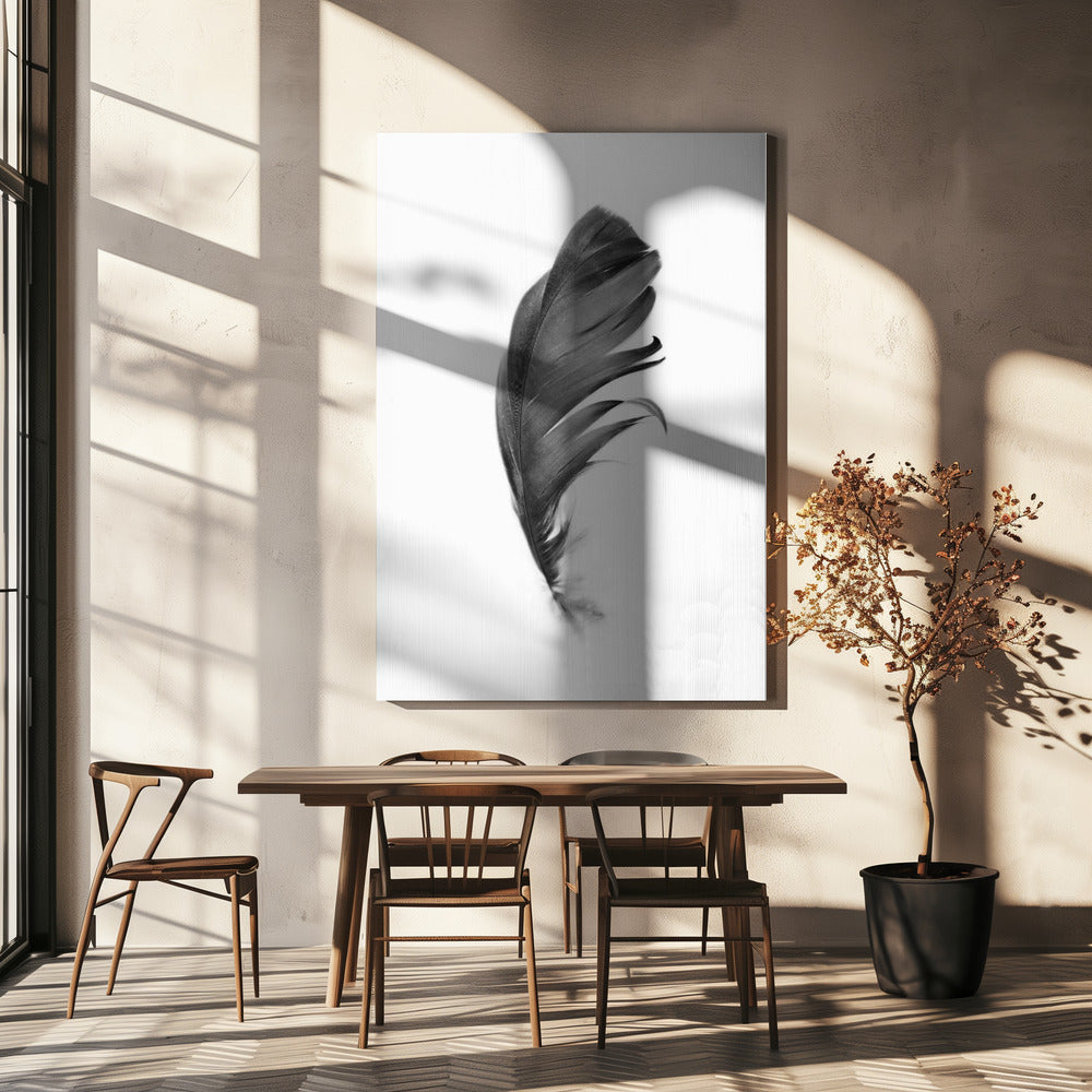 Veer | Canvas