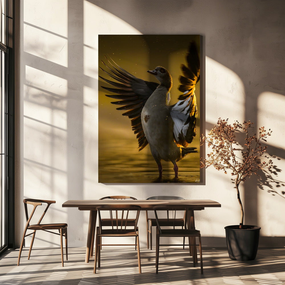 Open Hart | Canvas