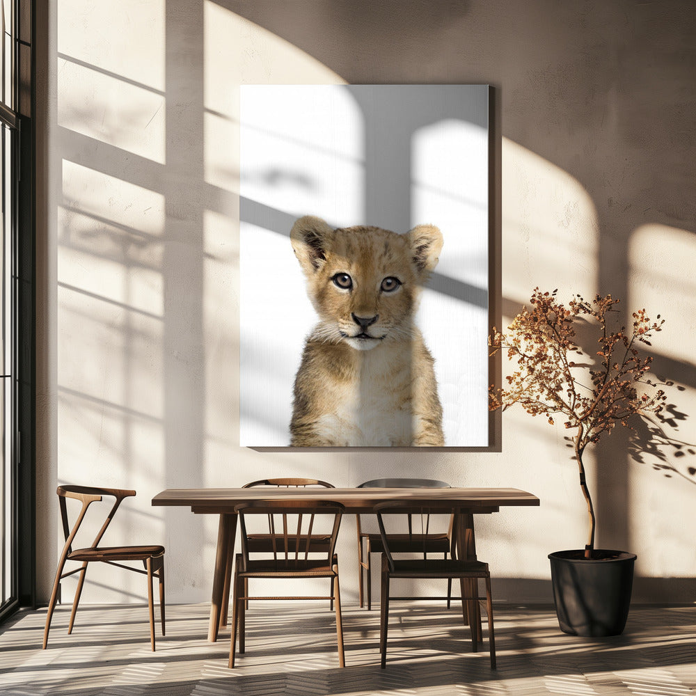 Baby Leeuw | Canvas
