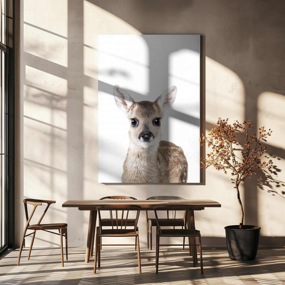 Babyhert | Canvas