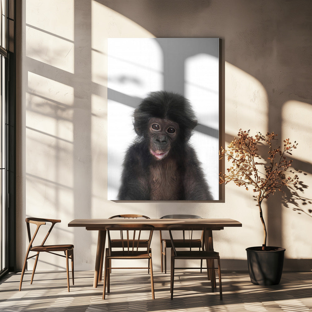 Baby Aap | Canvas