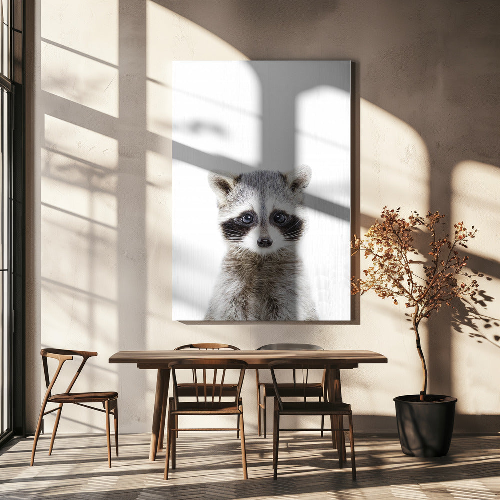Baby Wasbeer | Canvas