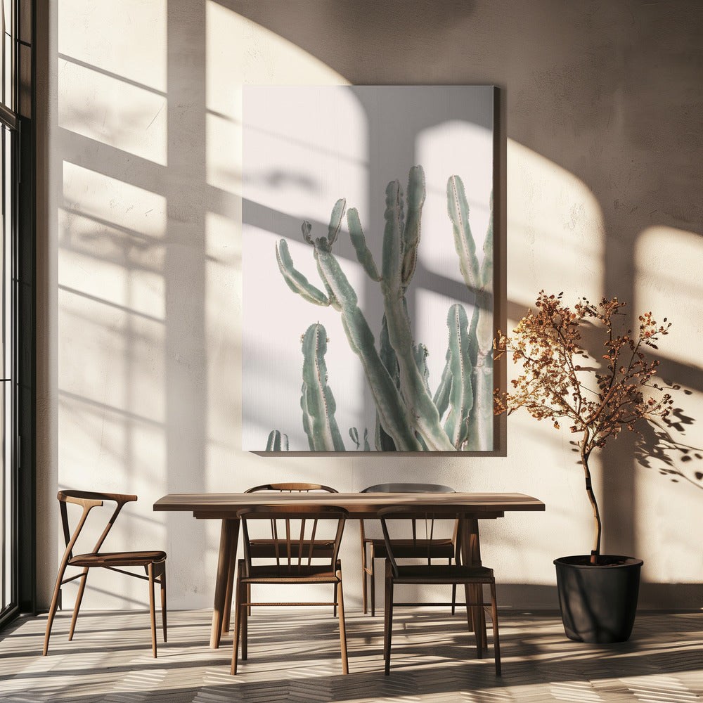 Zonsopgangcactus | Canvas