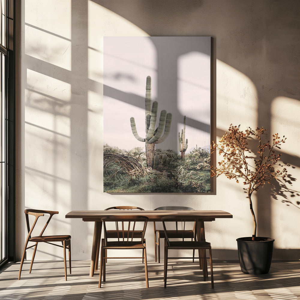 Roze Saguaro | Canvas