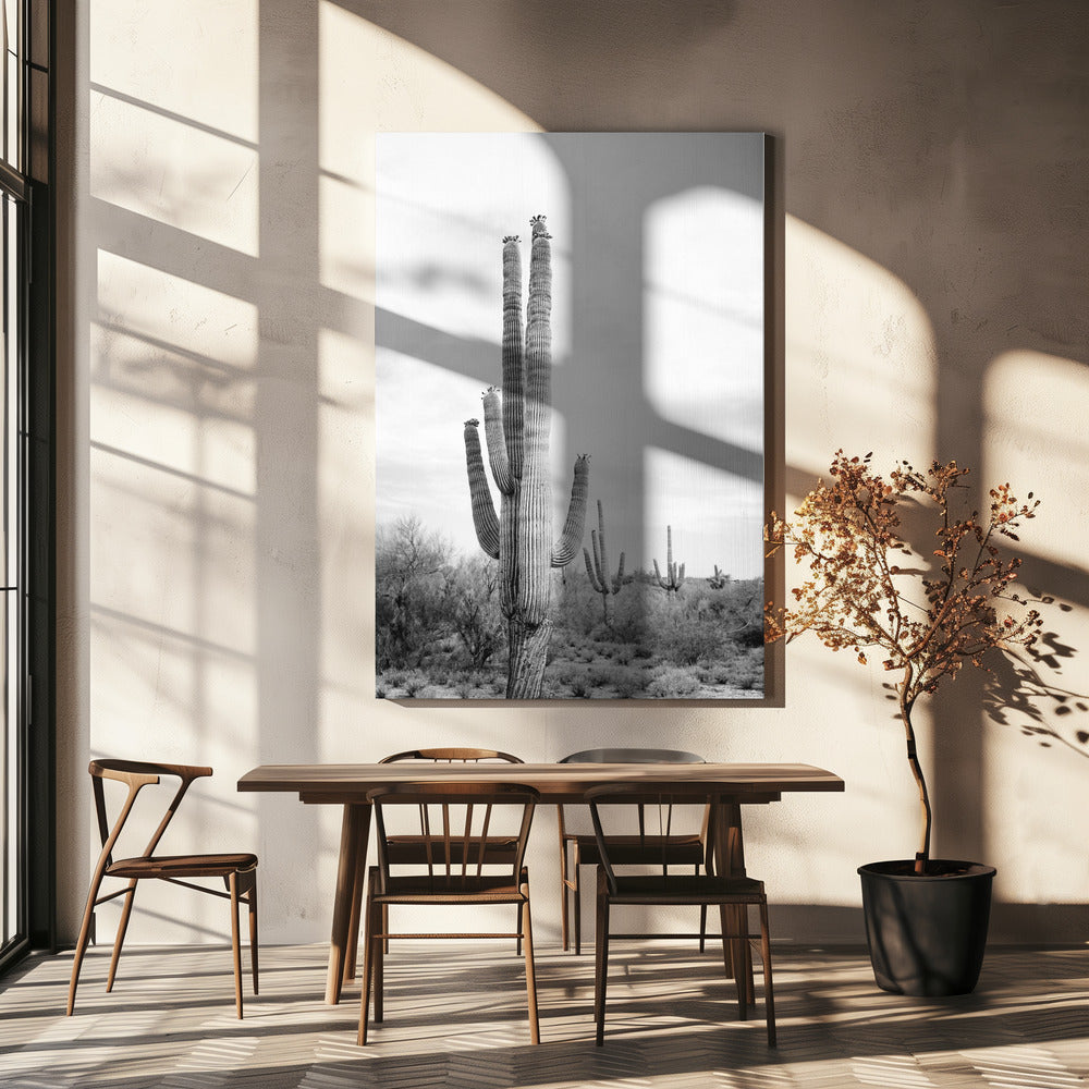 Saguaro Zwart-wit | Canvas