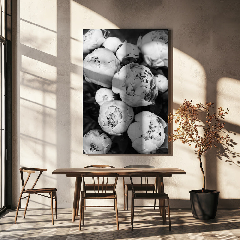 Pioenrozen | Canvas