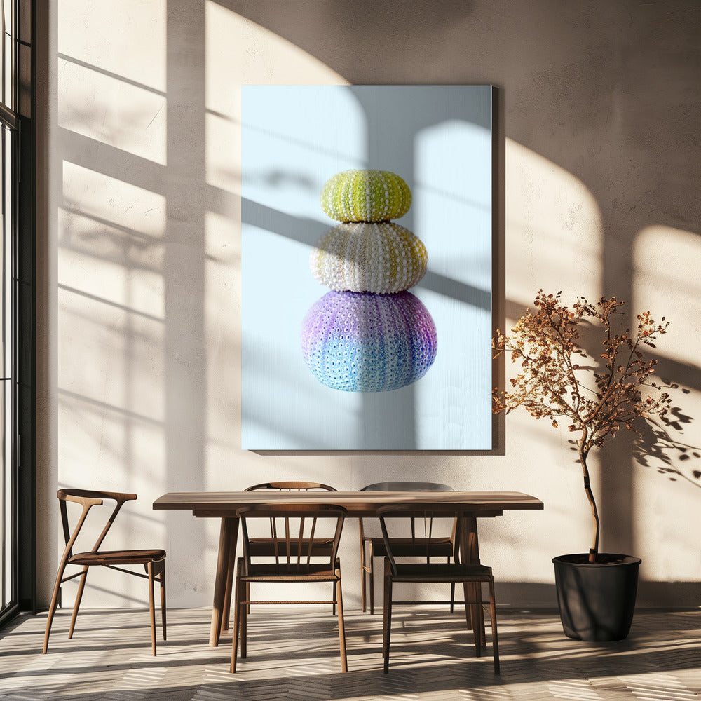 Zee-egels | Canvas
