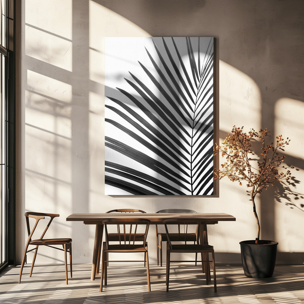 Zwart-wit palmblad | Canvas