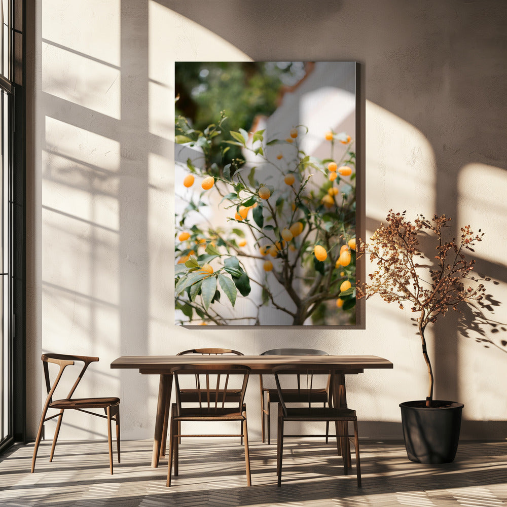 Oranje Capri | Canvas