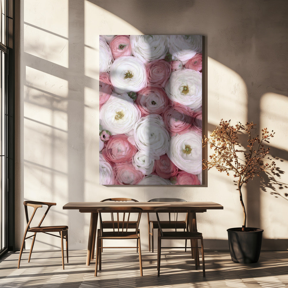 Verspreide ranonkel in gedempt roze I | Canvas