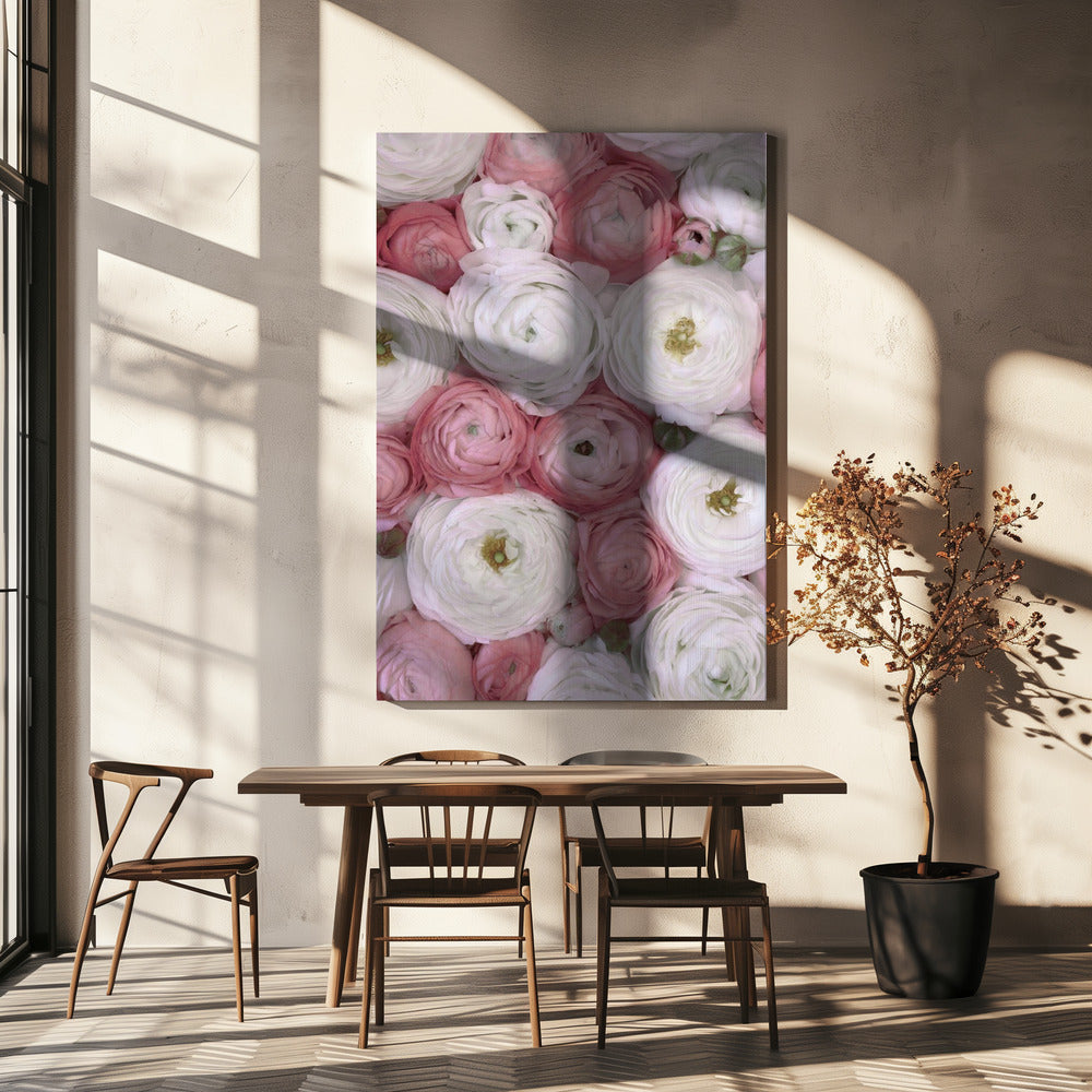 Verspreide ranonkel in gedempt roze II | Canvas