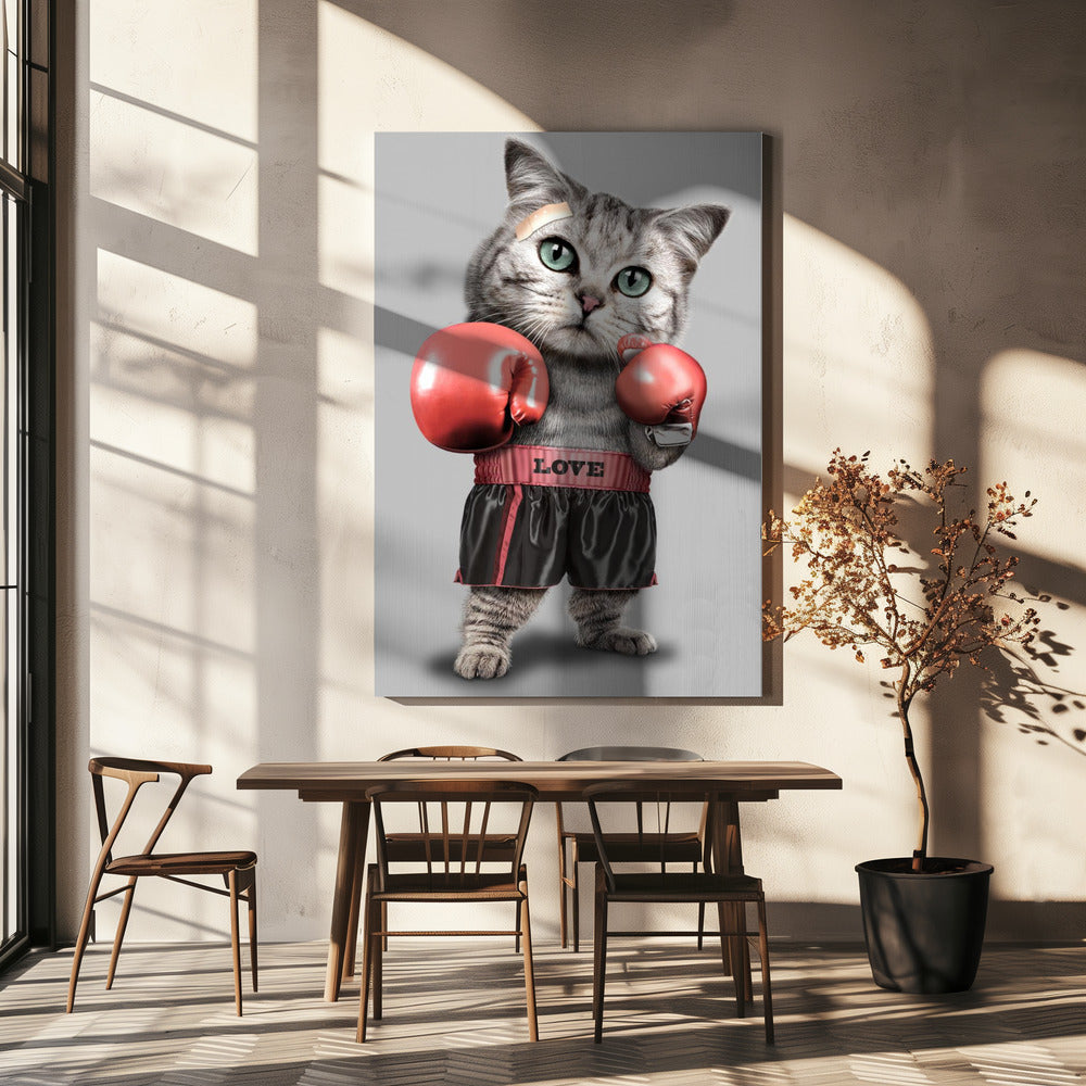 boksende kat | Canvas