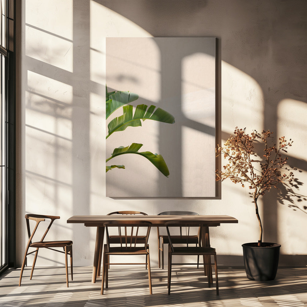 Cannes Banana Plant | Canvas