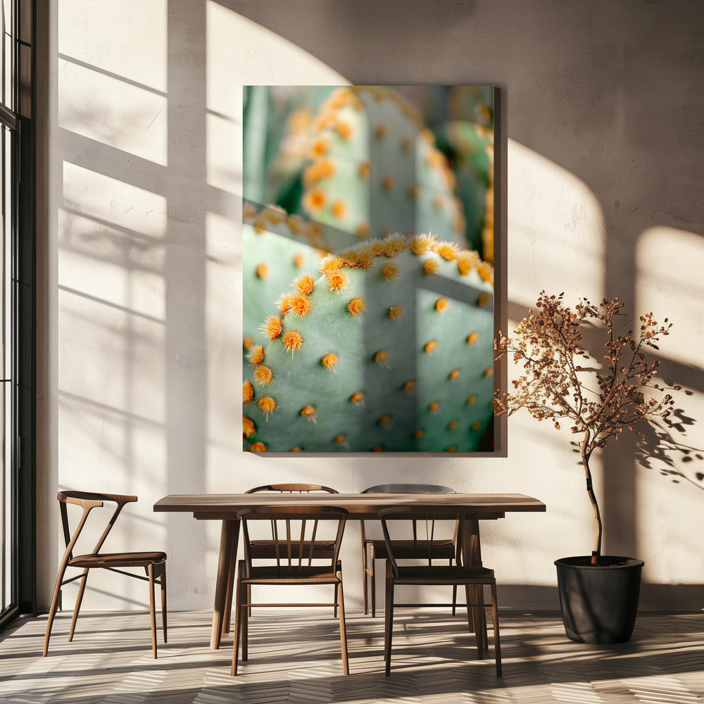 Oranje en Groen II - Botanische fotografie van Marrakech | Canvas