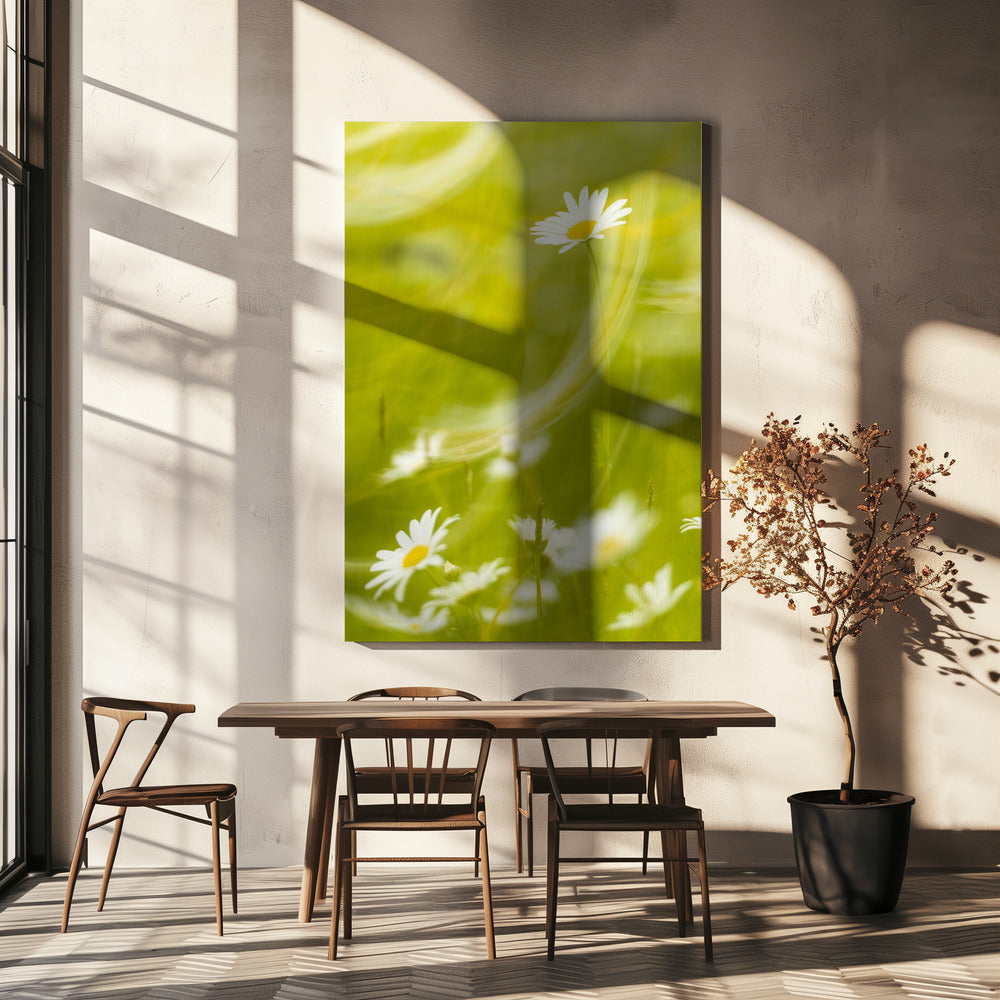 Madeliefjes | Canvas