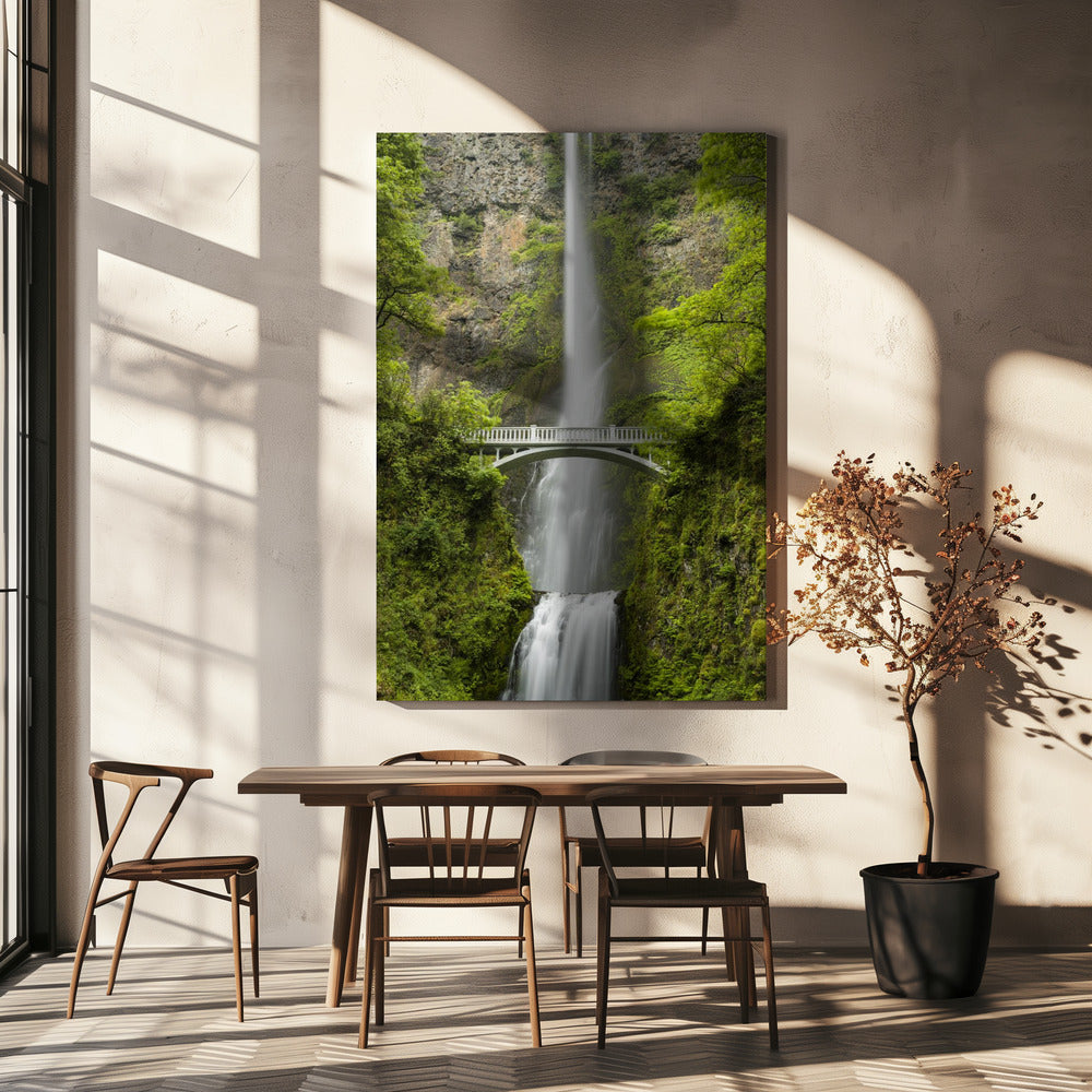 Zachte staart | Canvas