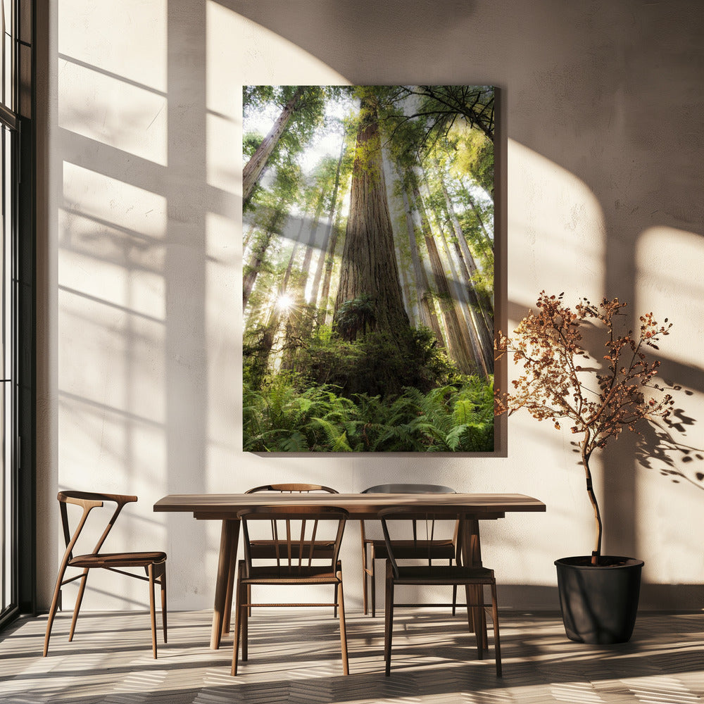 Prachtig bos | Canvas