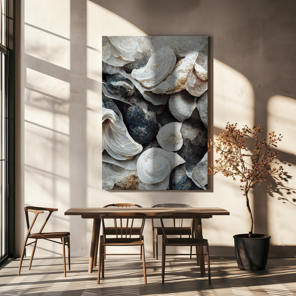Schelpen en steen | Canvas