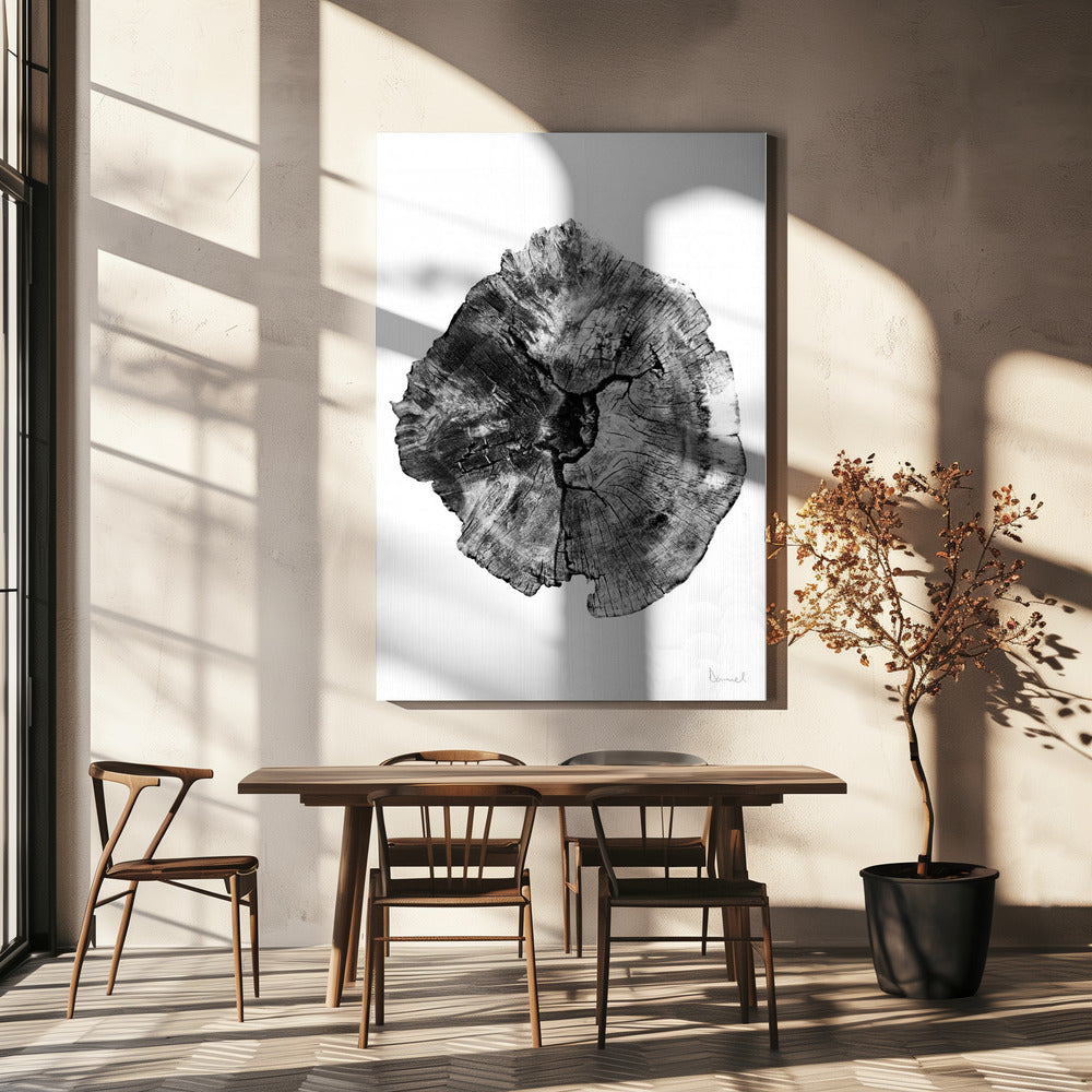 Oak Log | Canvas