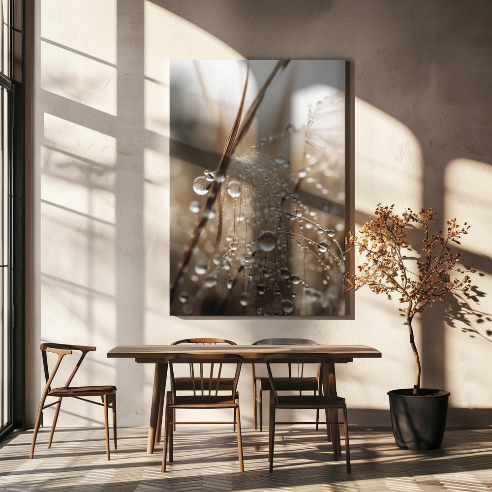 Dauwachtig filigraan | Canvas