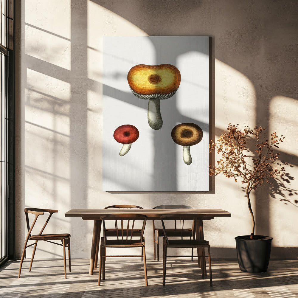 Handgetekende Galerina-paddestoel | Canvas