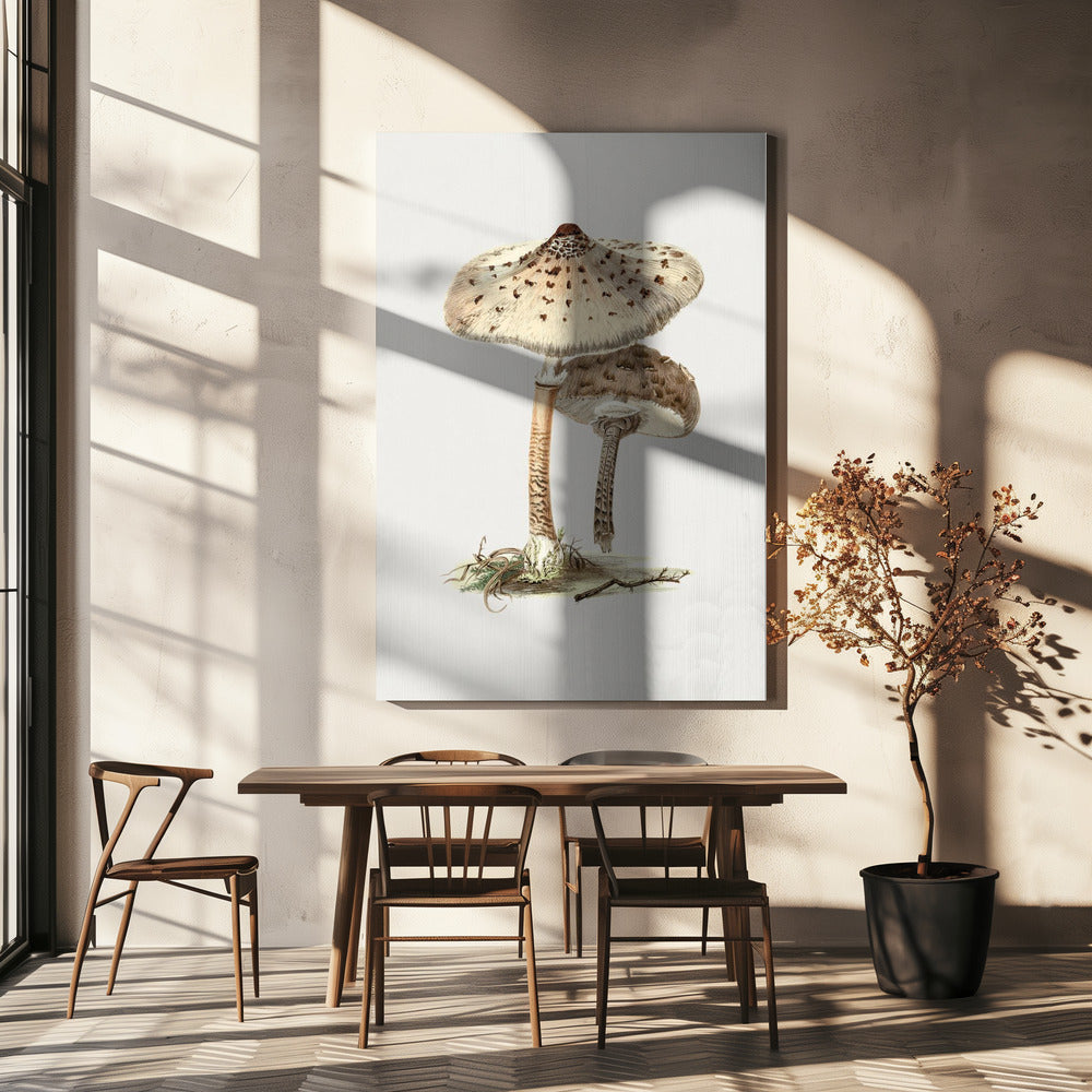 Handgetekende parasolzwam | Canvas
