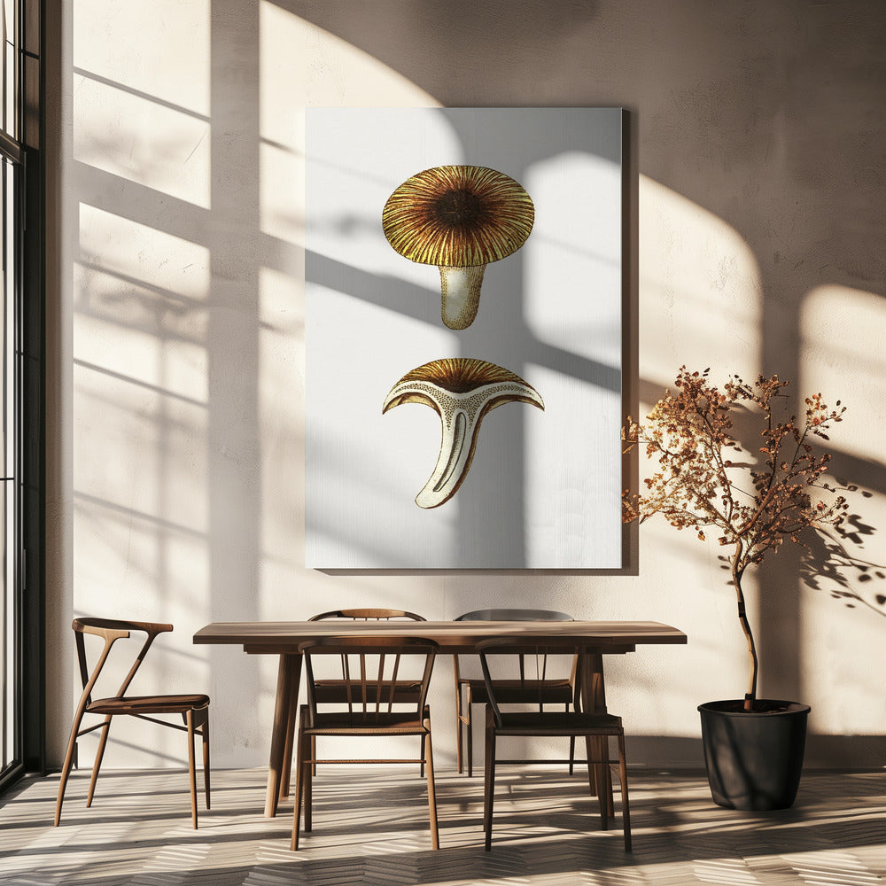 Vintage Cantharellen Eetbare Paddenstoel | Canvas