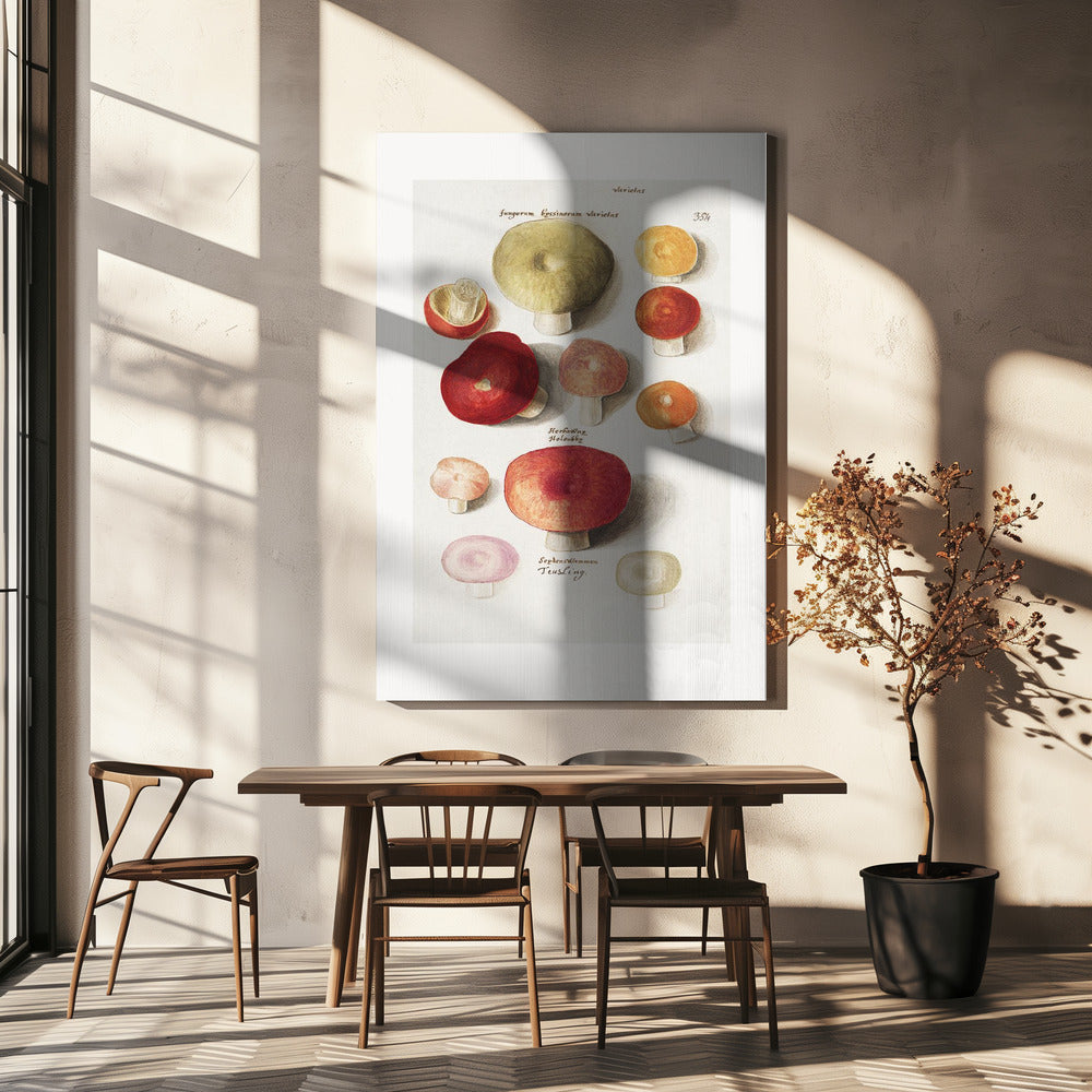 Boleten, Boletales staand | Canvas