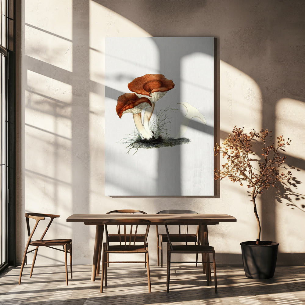 Met de hand getekende roodbruine melkzwam | Canvas