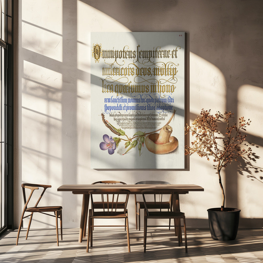 Paddenstoelposter | Canvas